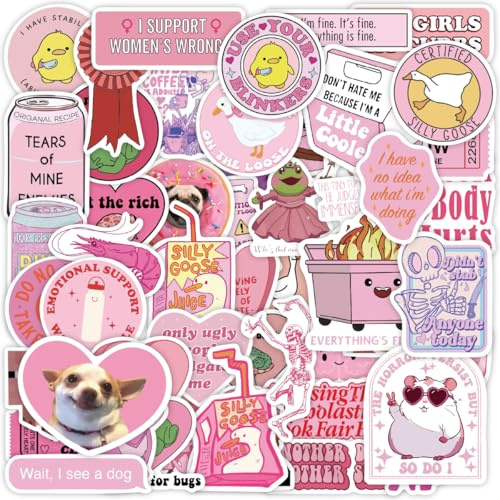 50 PCS Pink Funny Stickers for Adult,Pink Meme Stickers for Women,Waterproof Cool Sticker for Water Bottles,Laptop,Scrapbooking,Funny Gifts for Adult,Woman