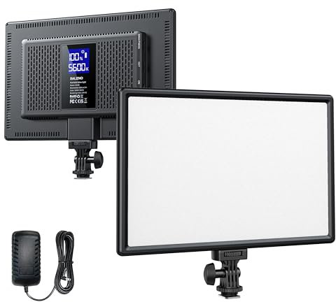 RALENO 13 LED Video Light, 19.5W Panel Camera Light with LCD Display Built-in 8000mAh Battery Dimmable 3200-5600K Bi-color and CRI 95+ lighting for Video Recording Studio YouTube Photography
