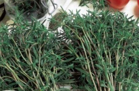 Pcs - 800x Sarriette 1 Ans Satureja Hortensis Eko Jardin Plantes - Graines K254 - Seeds & Plants Shop by Ipsa