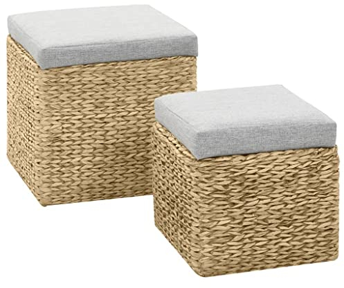 vidaXL Lot de 2 Repose-Pied Jacinthe d'eau, Cube avec Coffre de Rangement, Tabouret de Salon, Organisateur d' Entrée Intérieur, Gris