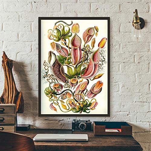 Canvas Wall Art Carnivorous Plant Poster Haeckel Nepenthaceae Tropical Pitcher Plants Monkey Cups Prints Painting Canvas Picture Decoration Frameless 40x60cm (16X24in) 1pcs