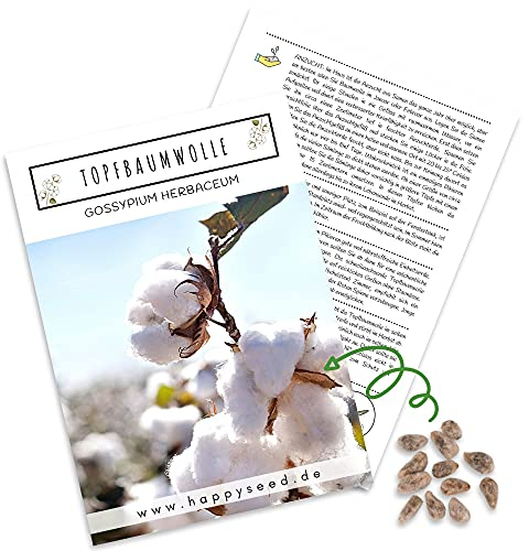 Semi di cotone (Gossypium Herbaceum) ad alto tasso di germinazione – Semi di cotone per pianta di cotone morbida e a sangue