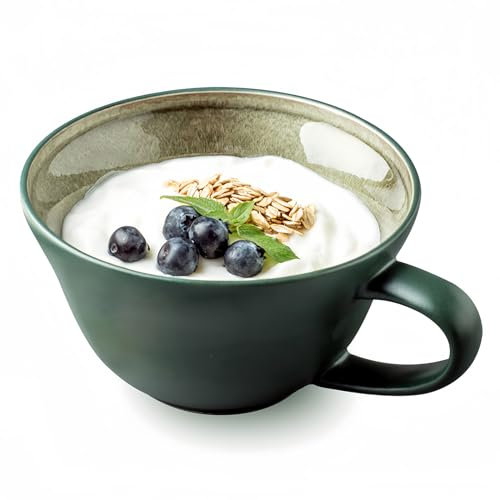 Dowbom Tazza da zuppa con manico, ciotola per zuppa per microonde, tazza da zuppa in ceramica, ciotola per colazione, tazza da brodo (verde, 500 ml), BL-SP-015