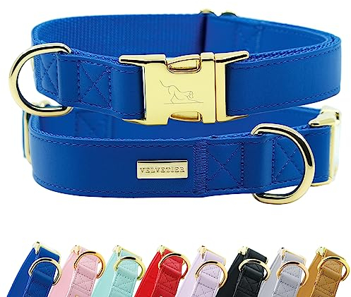 Halsband Hund von VELVETIER® | Stilvolles Hundehalsband aus veganem Mikrofaser Leder | Für kleine & große Hunde (M/L: 41 - 63cm, Royal (Blau))