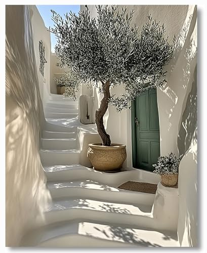 Hjjdiyes Pintura por Números para Adultos, Olivo Mediterráneo, Kit DIY con Lienzo Preimpreso sin Marco, 24 Colores Acrílicos y 4 Pinceles, Paisaje para Principiantes, Imagen 40 x 50 cm (Blanco)