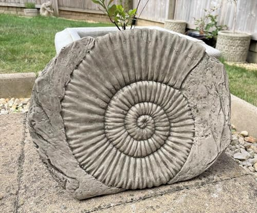 Ammonite Fossil Stone Statue | Dinosaur Outdoor Garden Ornament UK Decoration