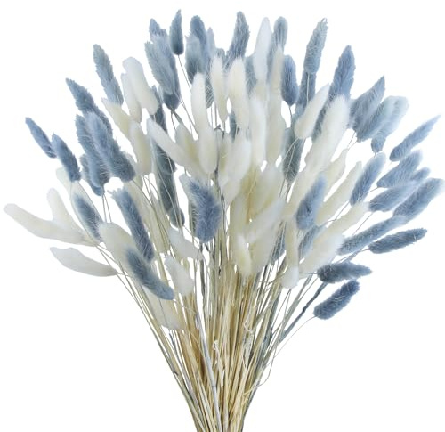 CISDUEO 120pcs Dried Bunny Tails Flowers Lagurus Ovatus Tail Dried Flowers Pampas Grass White and Gray Natural Dried Floral Arrangement for Boho Decor Home Wedding DIY Farmhouse Table Christmas (17)