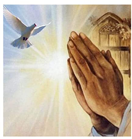 Kreuzstich Stickpackung Stickbild Stickvorlage Vorgedruckt Stickset-Taube mit betender Hand-DIY Handarbeit Vorgedruckt Sticken Kreativität Home Decor 11CT (Vorgedruckte Leinwand)40x50cm