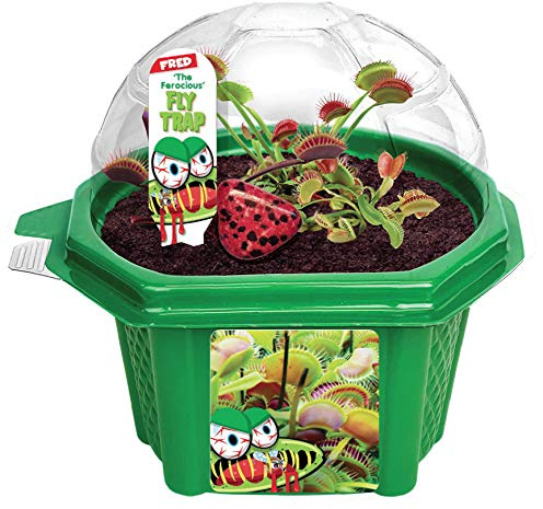 Toys By Nature Character Micro Micro Dome Terrariums Starter Kit, Complete Terrarium Supplies Included, Beginner-Friendly Plant Lovers, Fred The Ferocious Flytrap