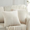FDTERN 2er Set Creme Beige Kordsamt Kissenbezug 60x60 Weich Dekorative Kissenbezüge Kissenhülle Dekokissenbezug Sofakissen Dekokissen Boho Deko für Sofa Schlafzimmer Wohnzimmer Bett