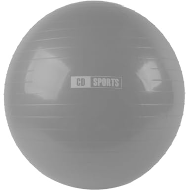 Calma Dragon Pelota de Pilates 65cm / 75cm Diámetro, Balón para Embarazadas, Fitball, con Inflador Incluido, Bola Grande para Yoga, Gimnasia, Fitness (Gris, 65 cm)