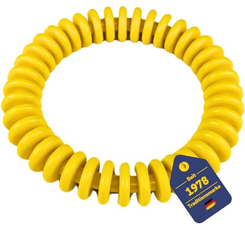 BEST SPORTING Anneaux de plongée pour enfants 14 cm | Jouet de plongée pour enfants pour hippocampes et autres | Ensemble d'anneaux de plongée pour piscine et entraînement de natation