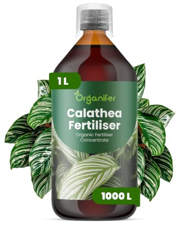 Flytande gödsel för calathea 1L – Organisk flytande gödsel för frodigt bladverk & stark tillväxt – Främjar rötter & vitalitet – Organifer