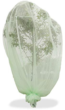 Haxnicks Fruit Tree Protector | Ultra Fine Insect Bird Bug Barrier | Mesh Netting Plant Cover | Fruit Trees Pear Apple Plum | 2m x 2m x 2m Tree010101, Green