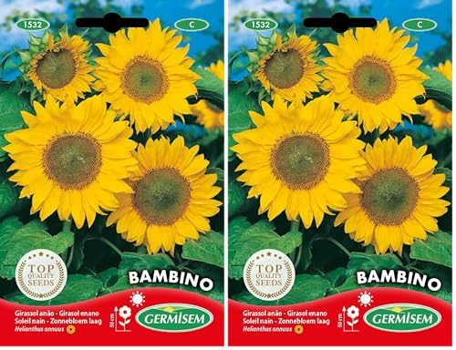 Germisem Bambino Semillas de Girasol 1 g (EC1532) (Paquete de 2)