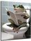 DARO Design - Bilder Deko Gäste WC Wandbild Badezimmer Bad Toilette Kunstdruck Bild auf 6mm HDF 30x20 cm Frosch Wanddeko - lustige Wandbilder Leinwand Poster Aesthetic Room Decor Frog