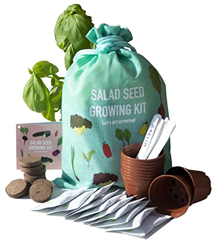 Scott&Co. Salad Seed Kit, 10 Different Vegetable Seed Varieties to Grow Your Own, Tomato, Lettuce, Cucumber. Veg Seeds, Pots, Labels and Compost. Christmas Gifts for Women and Men