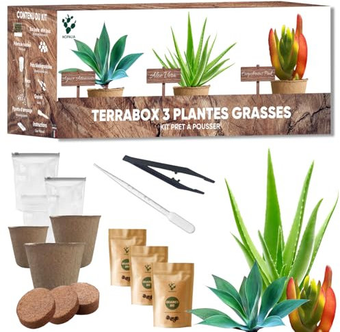 NOPALIA® Kit Plantes Grasses & Aloe Vera à Faire Pousser – Succulentes Agave, Carpobrotus & Aloe Vera – Cadeau Écologique – Mini Jardin DIY – Décoration Maison, Bureau – cadeau noel original