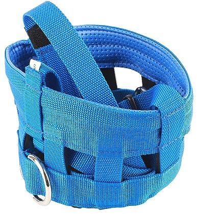 aqxreight Equipo Ecuestre de Nylon de Gafas Comodidad Pastoreo Pastoreo Caballos con Gancho y Halter Sujetador (Blue #29)
