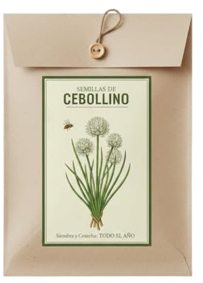 Semillas de Cebollino para Interior o Exterior DECOALIVE