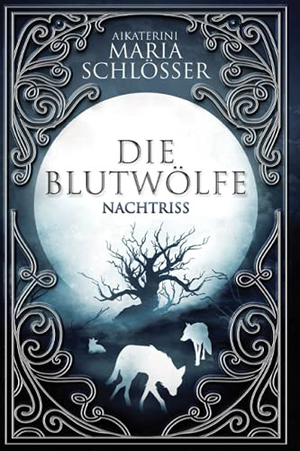 Nachtriss: Historischer Fantasyroman