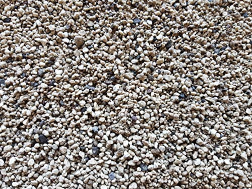 Der Naturstein Garten Premium Bims Granulat 12,5 kg – für Pflanzen, Bonsai, Kakteen, Dachbegrünung, gewaschen & gesiebt