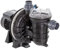 Pentair Pompe à Eau Piscine La Sta-Rite 1,5 CV / 20 m³/h Mono - Noir - Classique - Acier inoxydable