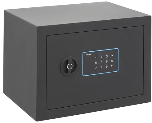 ARREGUI Blue 650120 Steel Safe with Electronic Lock | 25 x 35 x 25 cm | 18 L | Safe Box for Home and Home | Keyboard with Programmable Codes | with Emergency Key | Graphite