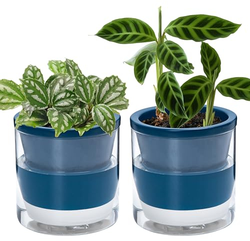 D'vine Dev Selbstbewässernder Übertopf für Zimmerpflanzen, 15,2 cm, blaue Terrakotta-Töpfe mit Zylinderglasbecher, 2 Stück, 37-V-B-2