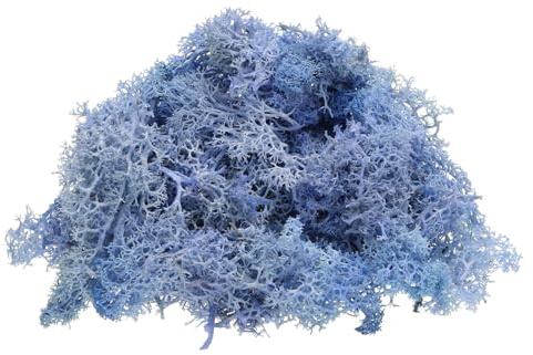 QUARKZMAN Muschio di Renna Conservato, 4 OZ Muschio Finto Artigianato Muschio Secco Artificiale Decorazione Artigianato Terrari Piante Vaso Centrotavola Giardini Fate (Cielo Blu)