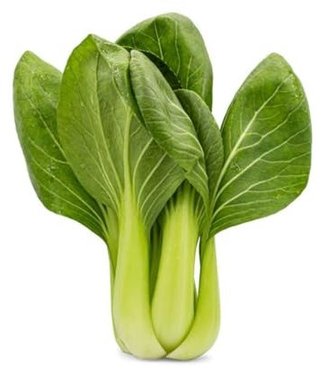 Fresh Pak Choi I Rich in Nutrients I Tender I Crunchy I Versatile I Pack of 3