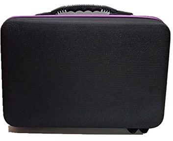 tooloflife 60 Slot Diamond Painting Storage Case, Diamond Embroidery Box con maniglia per il trasporto per Diamond Art Painting Accessori
