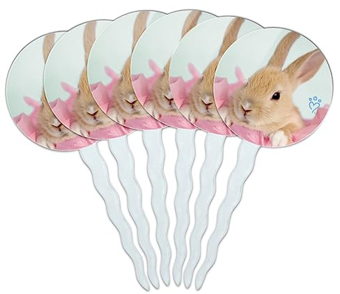 Bunny Hiding in Pink Tissue Paper Cupcake Picks Toppers Decoration Set of 6