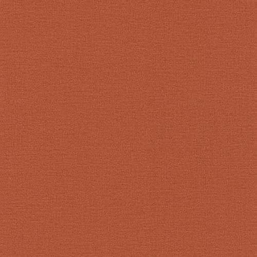 Rasch Tapeten Vliestapete (universell) Rot 10,05 m x 0,53 m Salsa 449051