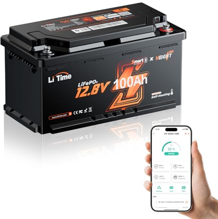 LiTime Batteria al Litio 12V 100Ah H190 per Camper (DIN H8 L5), Batteria LiFePO4 con Bluetooth e Autoriscaldamento, Max 15000 Cicli, Energia 2560Wh, Adatta per Furgone Camperizzato, Impianti Solari