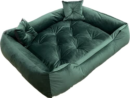 Dogs4Life Hundebett Velours XXL 135 x 100 cm | Hundebett für sehr große Hunde | Orthopädisch | Hundekissen | Waschbar | Outdoor | Mit Rand | Wasserabweisend (XL, ‎Grünes Velours)