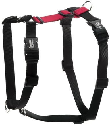 Blue-9 Buckle-Neck Balance Harness, Fully Customizable Fit No-Pull Harness, Ideal for Dog Training and Obedience, Made in The USA, Red, Small