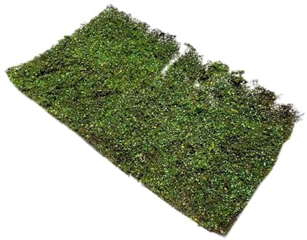 F Fityle Touffes d'herbe miniatures, touffes d'herbe pour maquette de terrain, feuillage, simulation de terrain, pour diorama, décor à faire soi-même, L