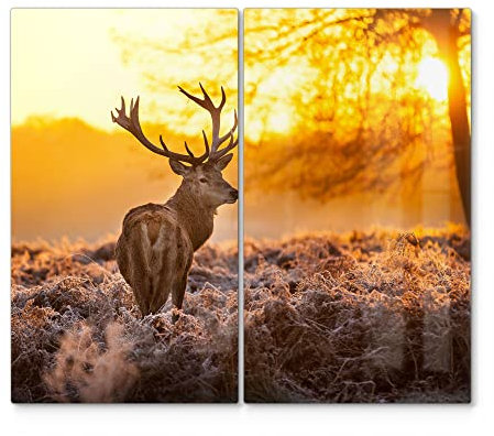 DEQORI Herdabdeckplatten Glas | 2er Set 60x52 cm | Motiv Hirsch am Wintermorgen | Ceranfeld Abdeckplatten in Küche | Herd-Abdeckungen universal | Glasplatten & Schneidebretter für Kochplatte