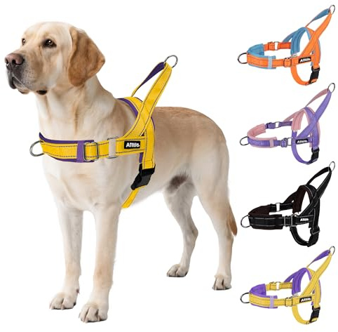 AIITLE Arnés táctico Mejorado a Prueba de Escapes para Perros, Ajustable en Cuello y Pecho, sin tirones, con asa Acolchada Suave, Caminar y Correr para Perros Extra Grandes Amarillo-púrpura XL