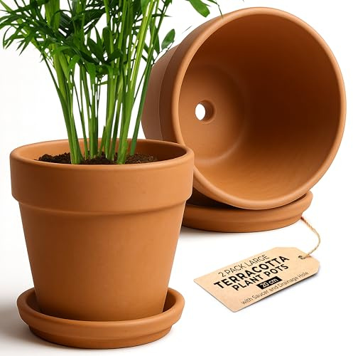 Green Thumbz Clay Pots for Plants with Saucer - 20cm x 2 Pack Large Terracotta Plant Pots with Drainage Hole, Ceramic Pots for Plants for Indoor/Outdoor Use