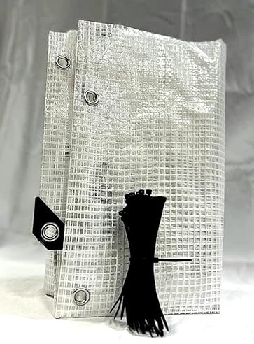 PINTO FERRAMENTA E-COMMERCE Telone Occhiellato Telo Multiuso per Esterno Impermeabile Rinforzato Trasparente Coperture Copri Legna Antipioggia Antistrappo Campeggio 100 FASCETTE OMAGGIO (1.5X3mt)