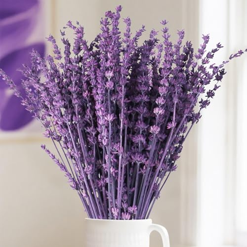 Celblisora 56 g di fiori di lavanda secchi – Rami di lavanda conservati, bouquet di fiori viola, decorazione per la casa, lavori fai da te, pianta secca