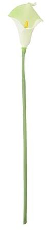 lopituwe 20 stycken fantastisk Calla Lilies bukett Hållbar och lågt underhåll konstgjord ABS Bröllopsblomma Brudmödrar, Vit