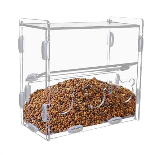 Mangeoire automatique en acrylique pour cailles, perroquets et cailles, avec plusieurs trous, distributeur de nourriture transparent pour pinsons, canaris, perruches, perroquets