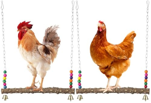 Altalena per pollo e pappagallo, 2 posatoi in legno con perline colorate, accessori per galline, galline, uccelli