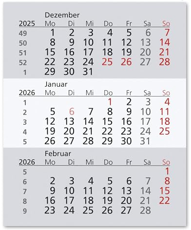 Calendario Truento para 2 años (2020 y 2021) – apto para calendario de mesa de 3 meses de plástico