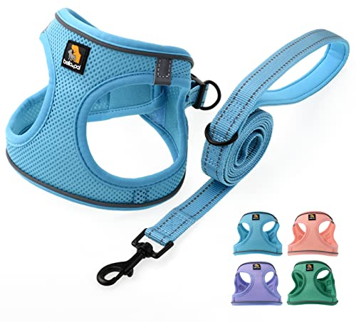 BELLA & PAL Hundegeschirr Kleine Hunde mit Leine, Step-in Geschirr aus Air Mesh, Anti Zug Reflektierend Atmungsaktiv Brustgeschirr, Welpengeschirr für Kleine Hunde, Katzengeschirr, Blau, XS