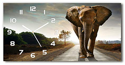 Tulup Reloj De Pared De Vidrio 60x30 Silenciosa Grande Original Moderno Decorativo Blanco - a pie de Elefante