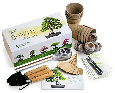 Grow Your Own Bonsai Tree Kit by Garden Pack - 5 Different Bonsai Trees to Grow - Gardening Gifts Idea w/Natural Wood Box, Gardening Accessories